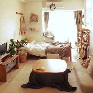 Kyosho Jutaku, lo stile delle micro case giapponesi